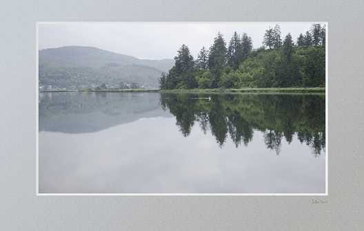 Nehalem river at dawn